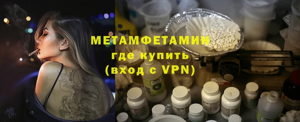 молекула духа Богородицк