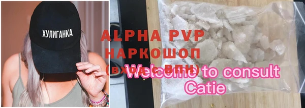 молекула духа Богородицк