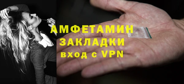 молекула духа Богородицк