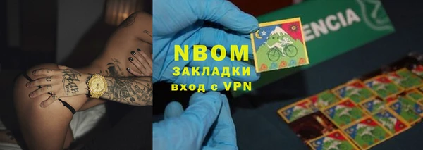 молекула духа Богородицк