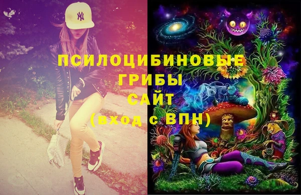 амф Богородск
