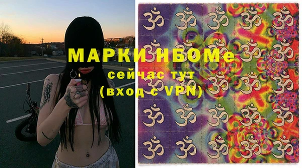 молекула духа Богородицк