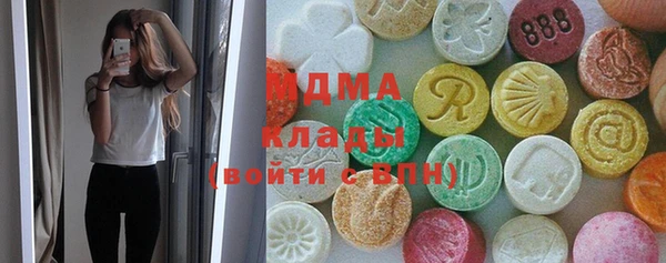 молекула духа Богородицк