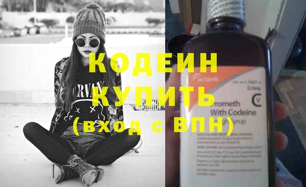 молекула духа Богородицк