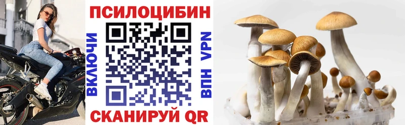 Купить закладки  Обнинск  Псилоцибиновые грибы ЛСД 